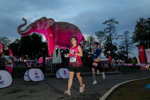 BIB: 
                            <button type="button" onclick="openModal(26529640)" class="btn btn-primary btn-sm float-right btn-popup" data-toggle="modal" data-target=".modal-high-quality">
                        <i class="fas fa-shopping-cart"></i> Add to Cart
                    </button>
                                            <button type="button" onclick="isThisMe(26529640, true)" class="btn btn-success btn-sm float-right btn-popup btn-isme hidden" data-toggle="tooltip" data-placement="bottom" title="นี่คือรูปของคุณใช่ไหม คลิกที่นี่เพื่อเอาเข้าอัลบั้ม">
                        <i class="fas fa-plus"></i> Add to album
                    </button>
                    <button type="button" onclick="isThisMe(26529640, false)" class="btn btn-warning btn-sm float-right btn-popup btn-isnotme hidden">
                        <i class="fas fa-ban"></i> Remove from album
                    </button>